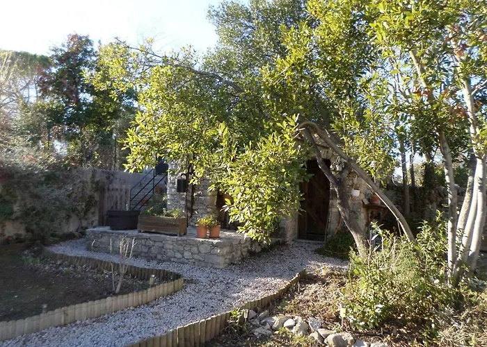 Bed & Breakfast Les Broussous